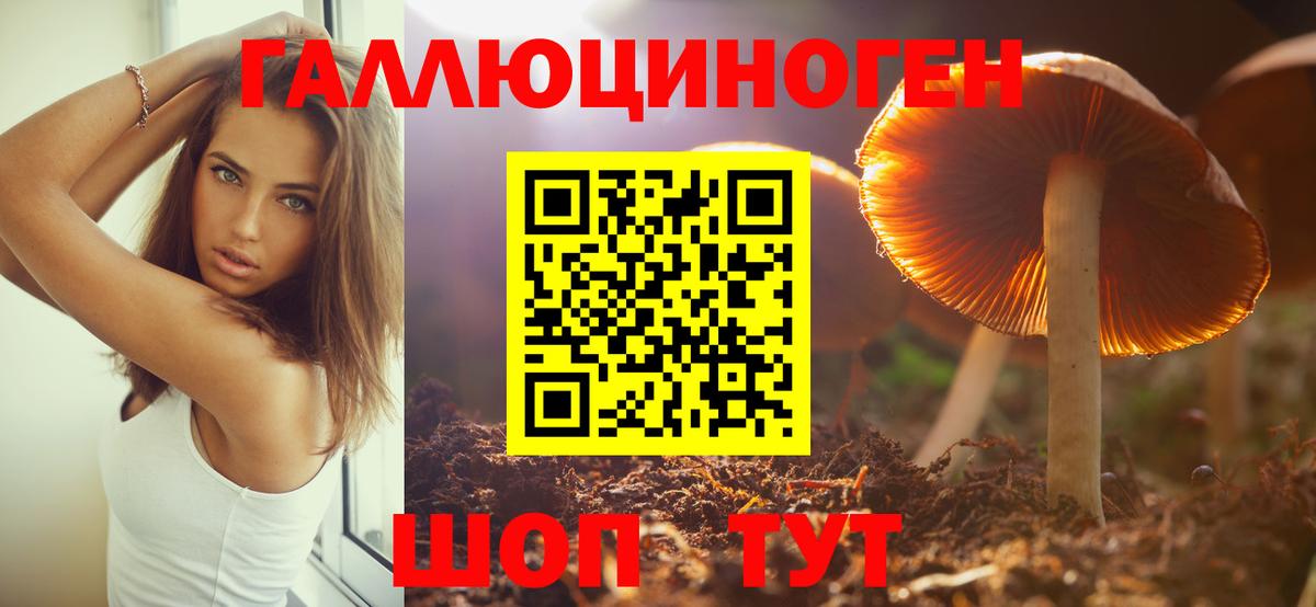 Галлюциногенные грибы GOLDEN TEACHER  Вход с VPN  Казань  Галлюциногенные грибы GOLDEN TEACHER 
